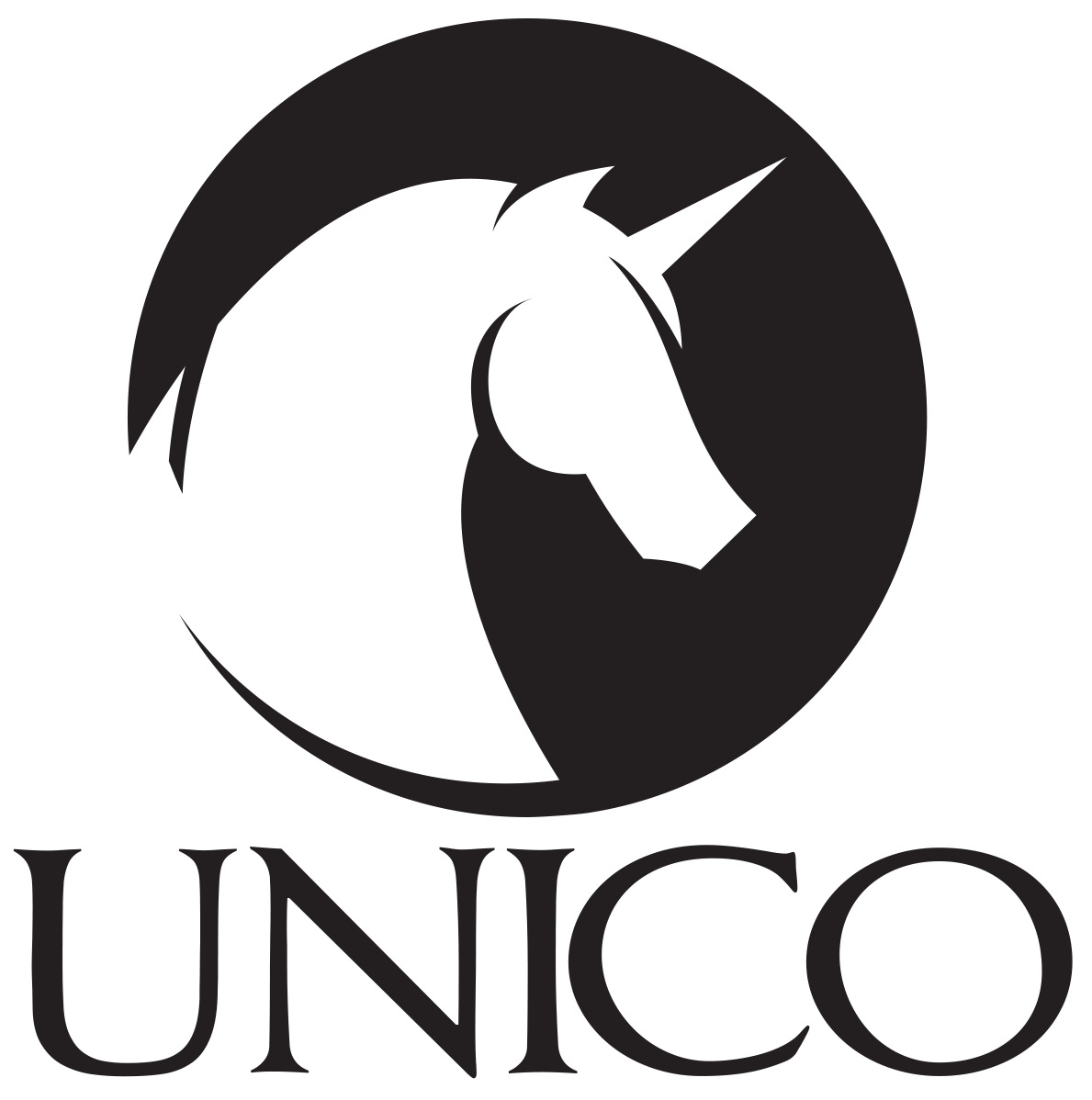 UNICO PROPERTY